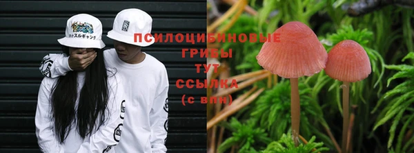 хмурый Армянск