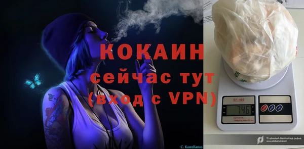 дживик Арсеньев