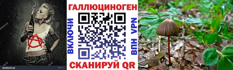 Псилоцибиновые грибы прущие грибы Купить закладки Глазов